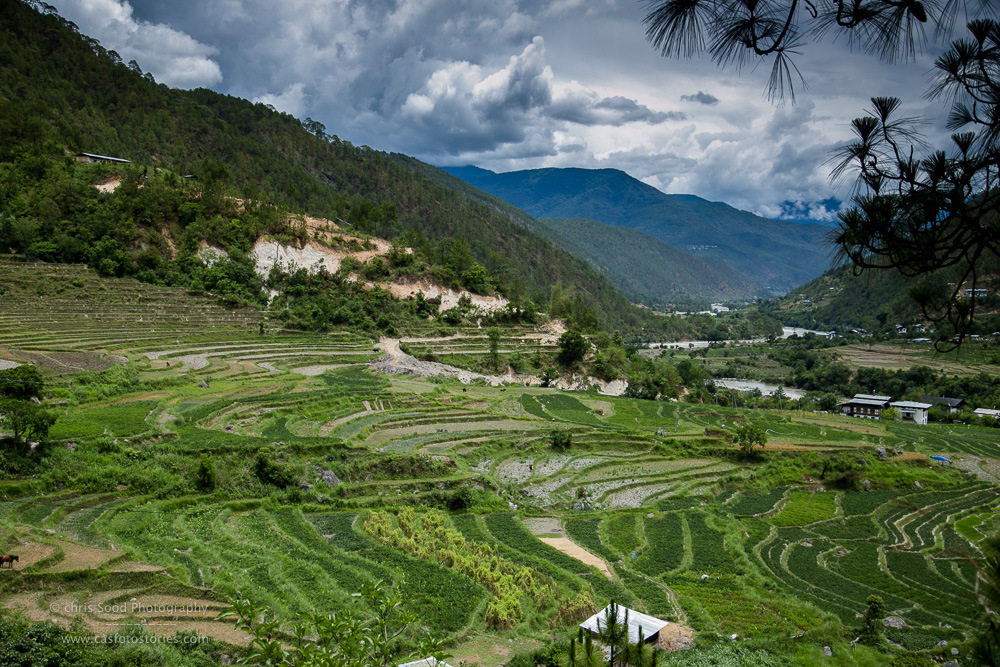 Punakha Blog  (1 of 1)-158.jpg