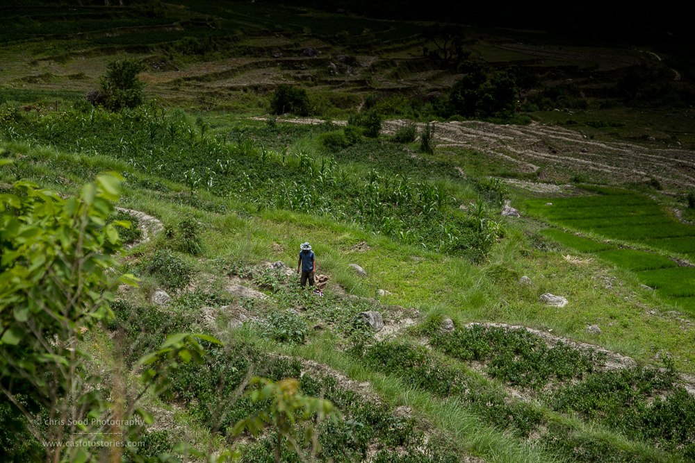 Punakha Blog  (1 of 1)-159.jpg