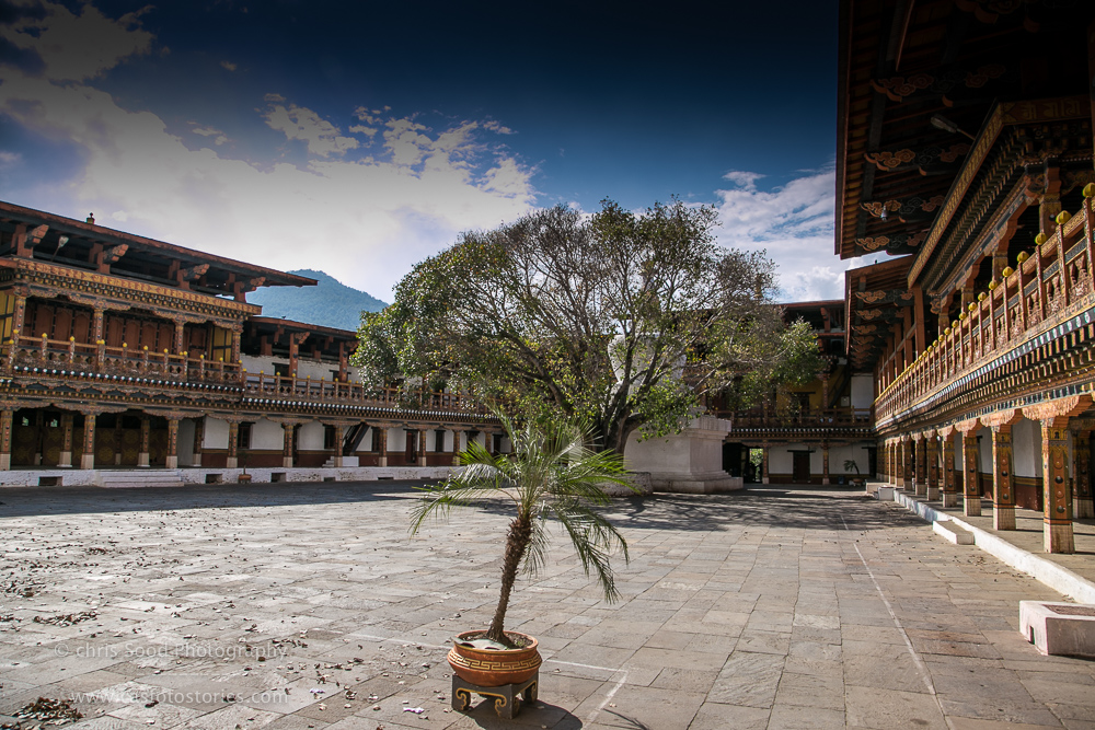 Punakha Blog  (1 of 1)-26.jpg