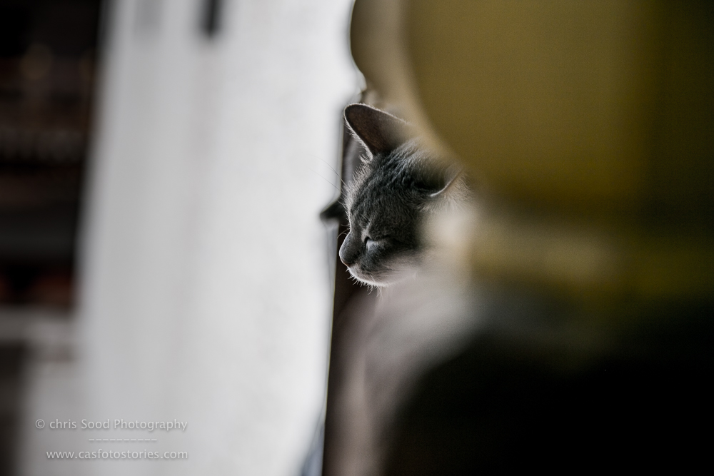 Punakha Blog  (1 of 1)-28.jpg