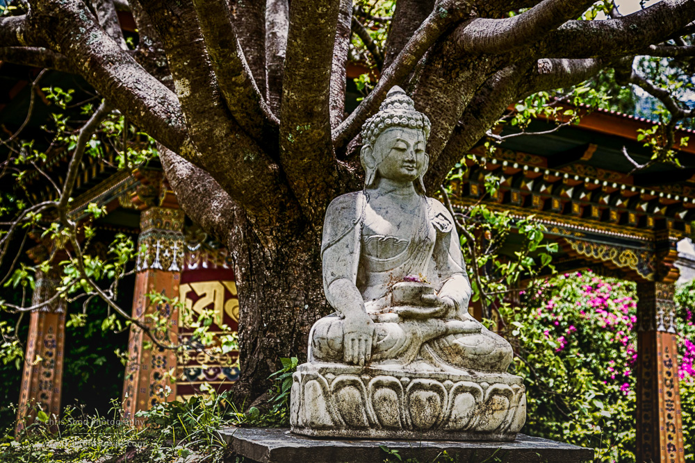 Punakha Blog  (1 of 1)-65.jpg