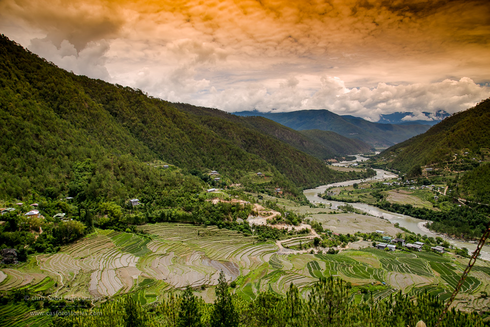 Punakha Blog  (1 of 1)-67.jpg