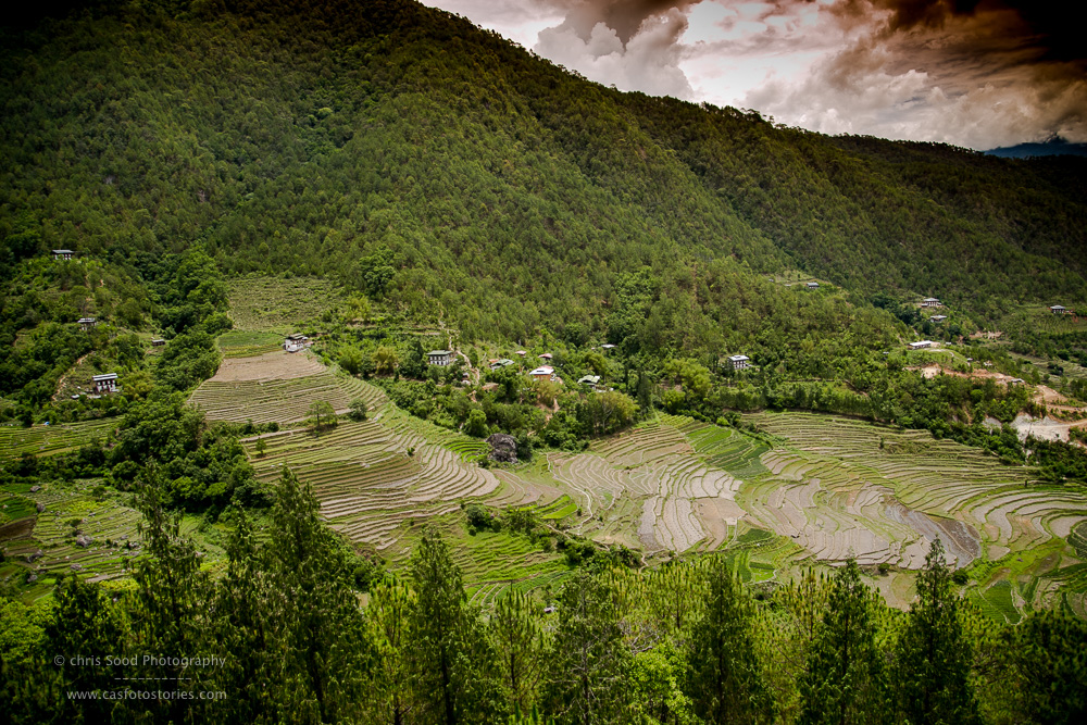 Punakha Blog  (1 of 1)-68.jpg