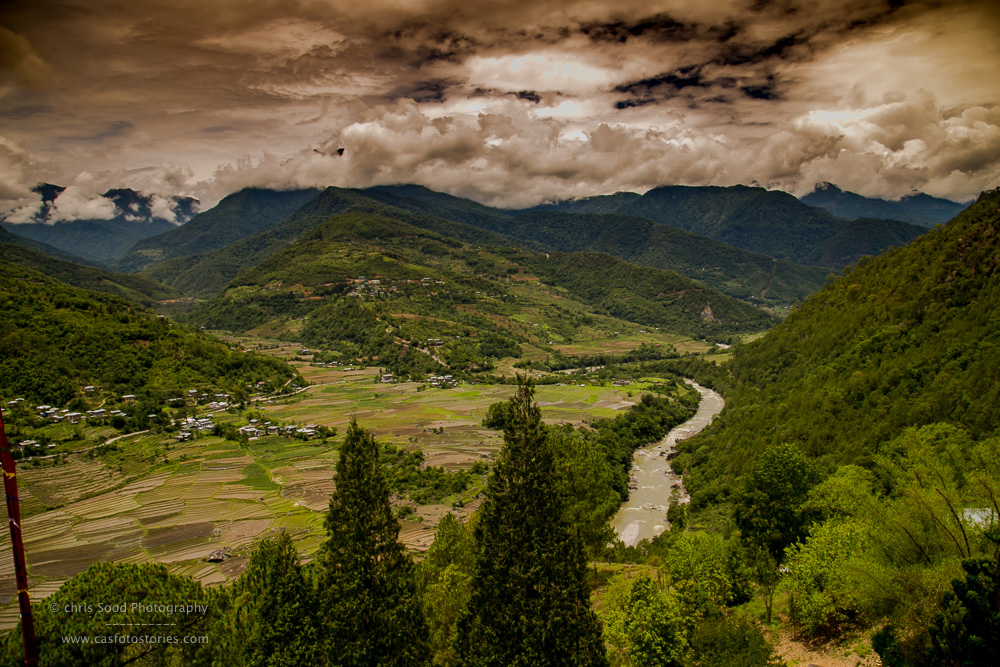 Punakha Blog  (1 of 1)-70.jpg